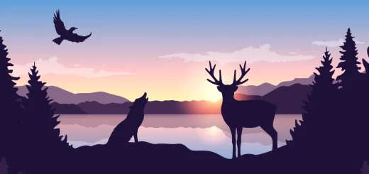 Illustrated sunset landscape with a deer, wolf, bird, pine trees, mountains, and lake