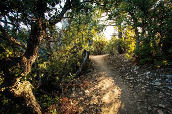 Big Bear Hiking Adventures