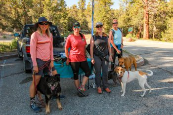 Big Bear Hiking Adventures