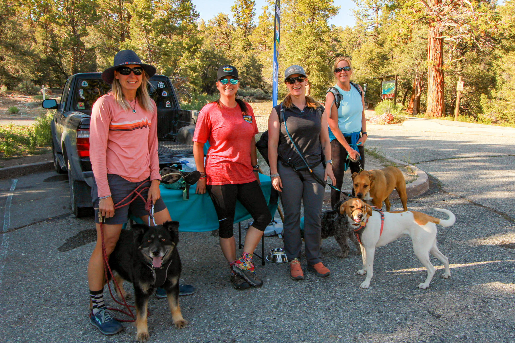 Big Bear Hiking Adventures Big BEar Cabin Rentals Destination Big Bear - Gray's Peak Trial