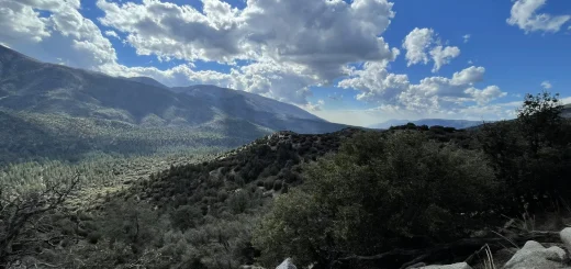 Wildhorse Creek Trail