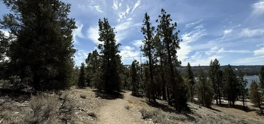 A dirt path winds through trees, leading to a serene lake in Big Bear, California.