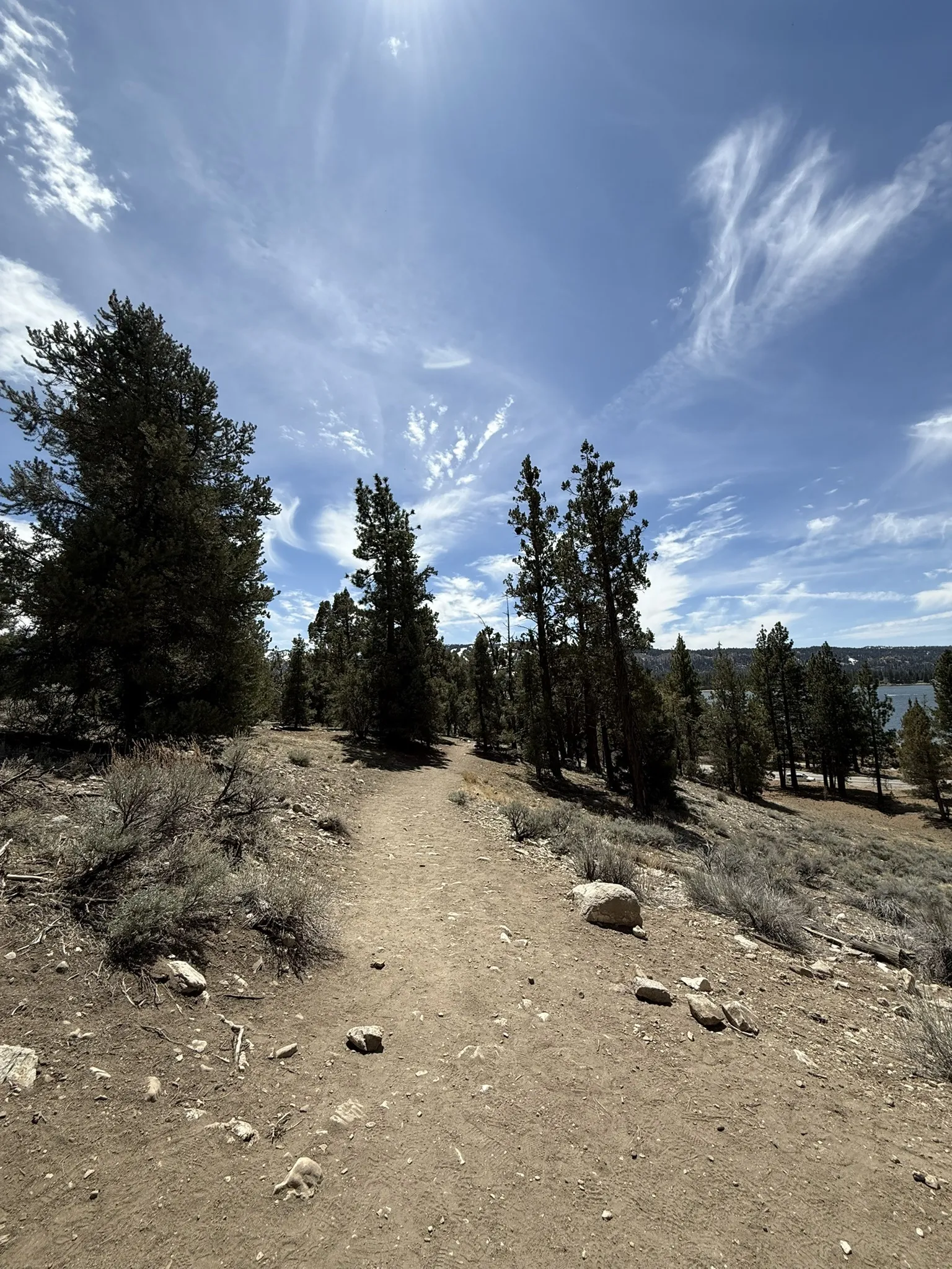 A dirt path winds through trees, leading to a serene lake in Big Bear, California.