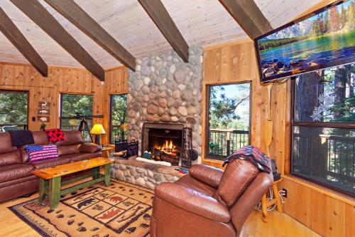 Big Bear Cabin - AlpineHatteras - 0002