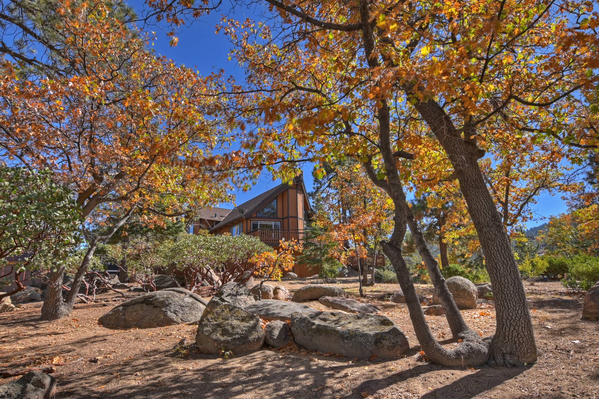 Big Bear Cabin - AspenPeak - 0001