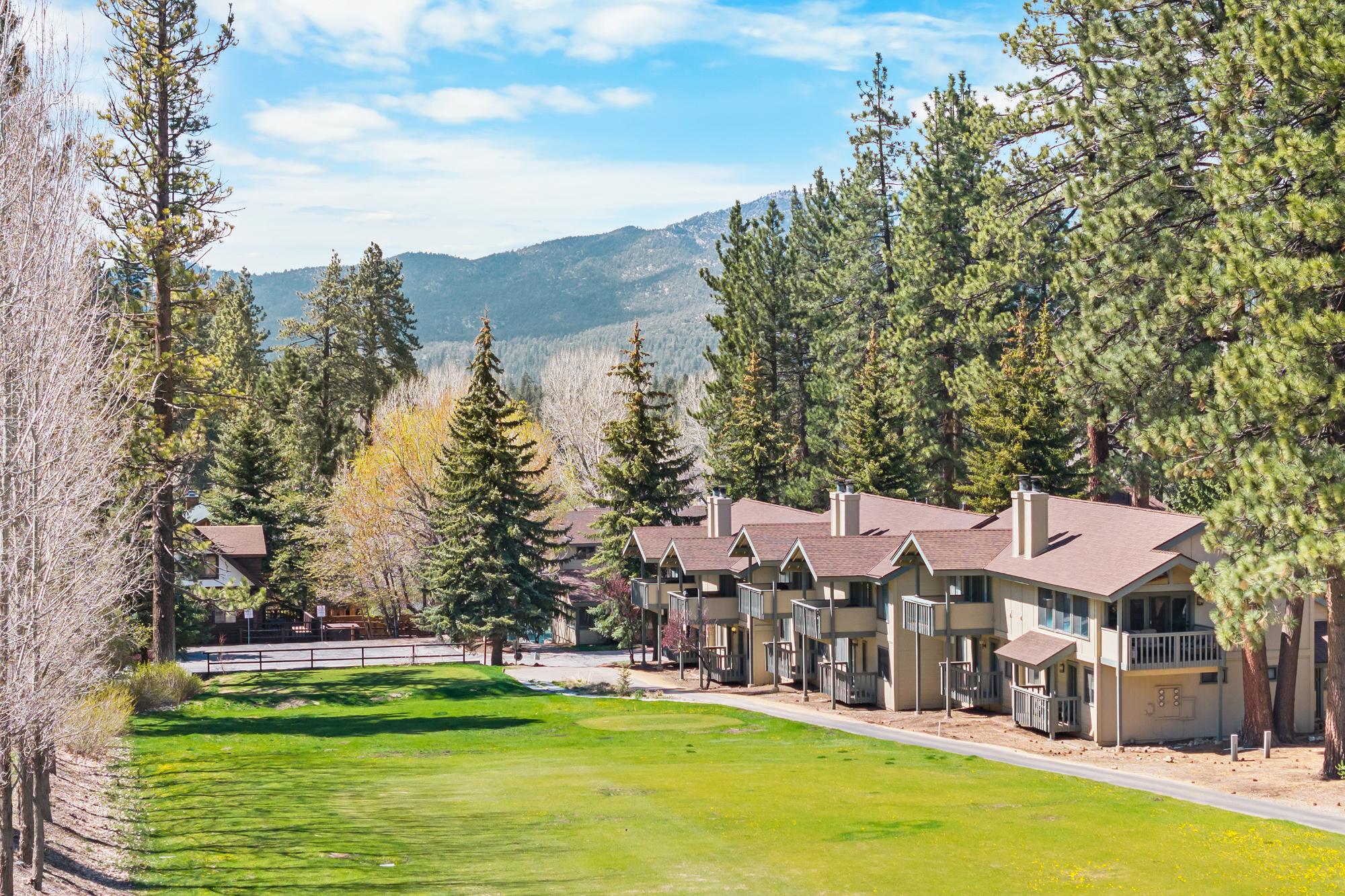 Big Bear Cabin - Bear House - 45