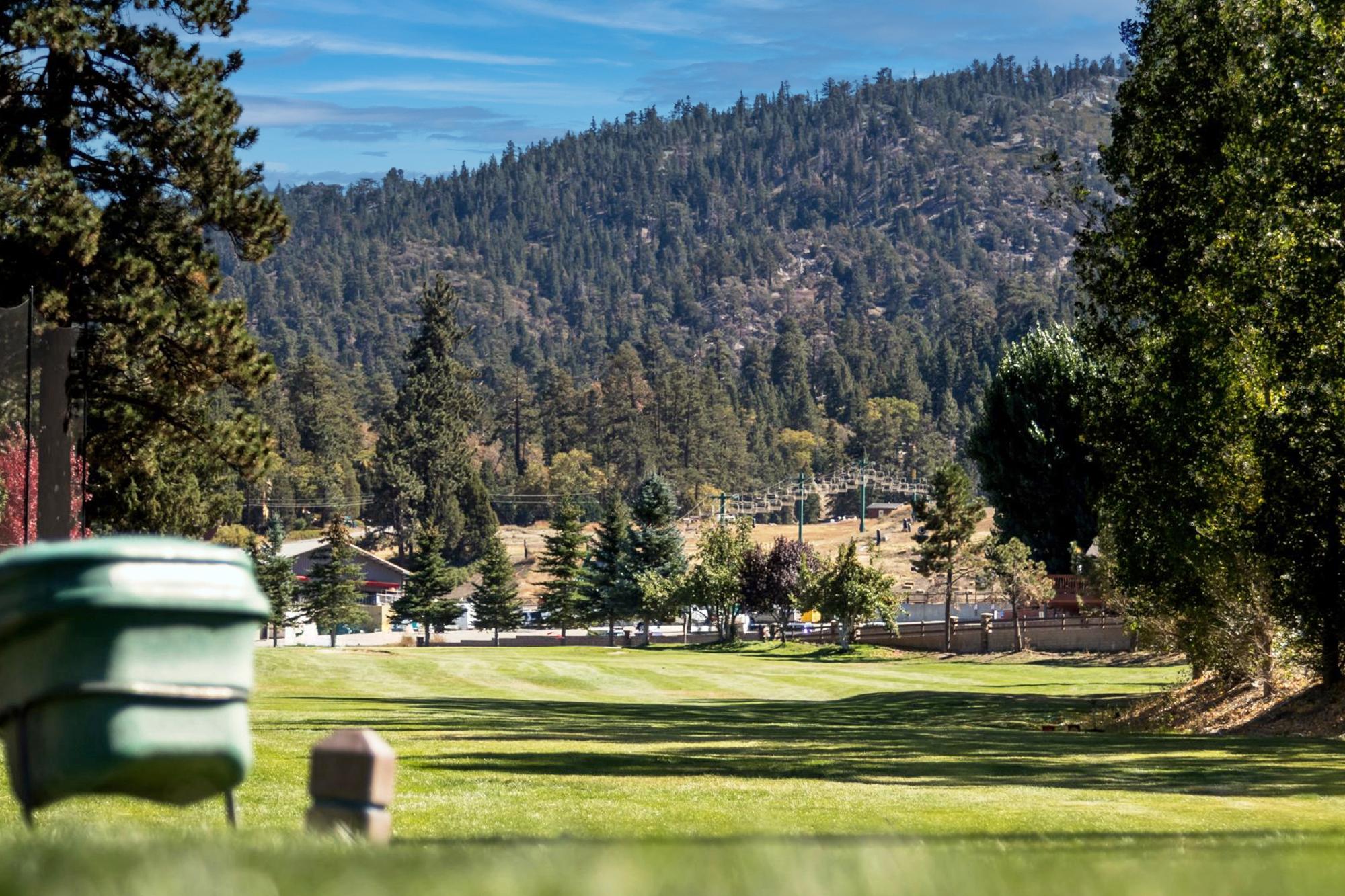 Big Bear Cabin - Bear House - 47