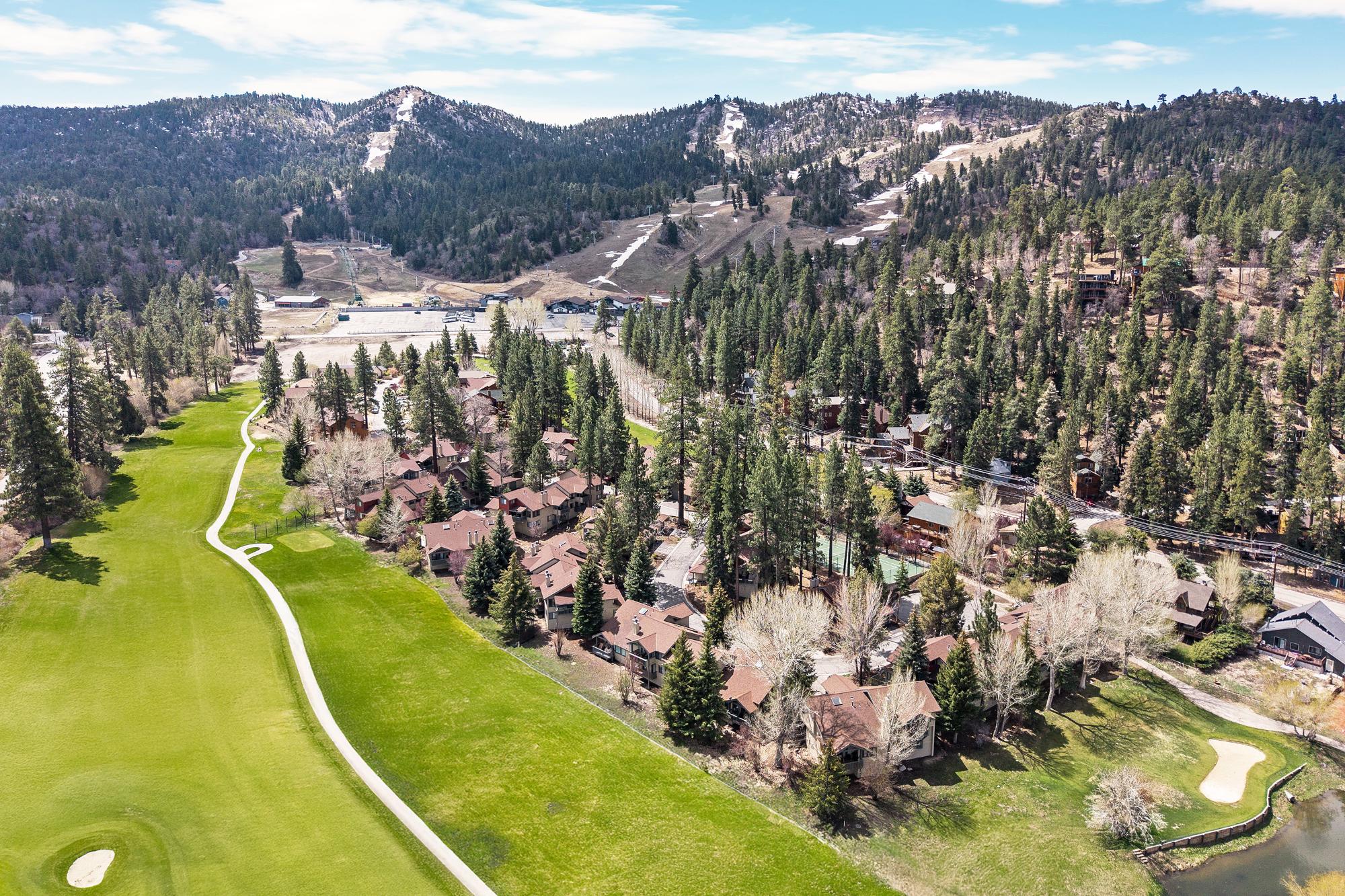 Big Bear Cabin - Bear House - 48