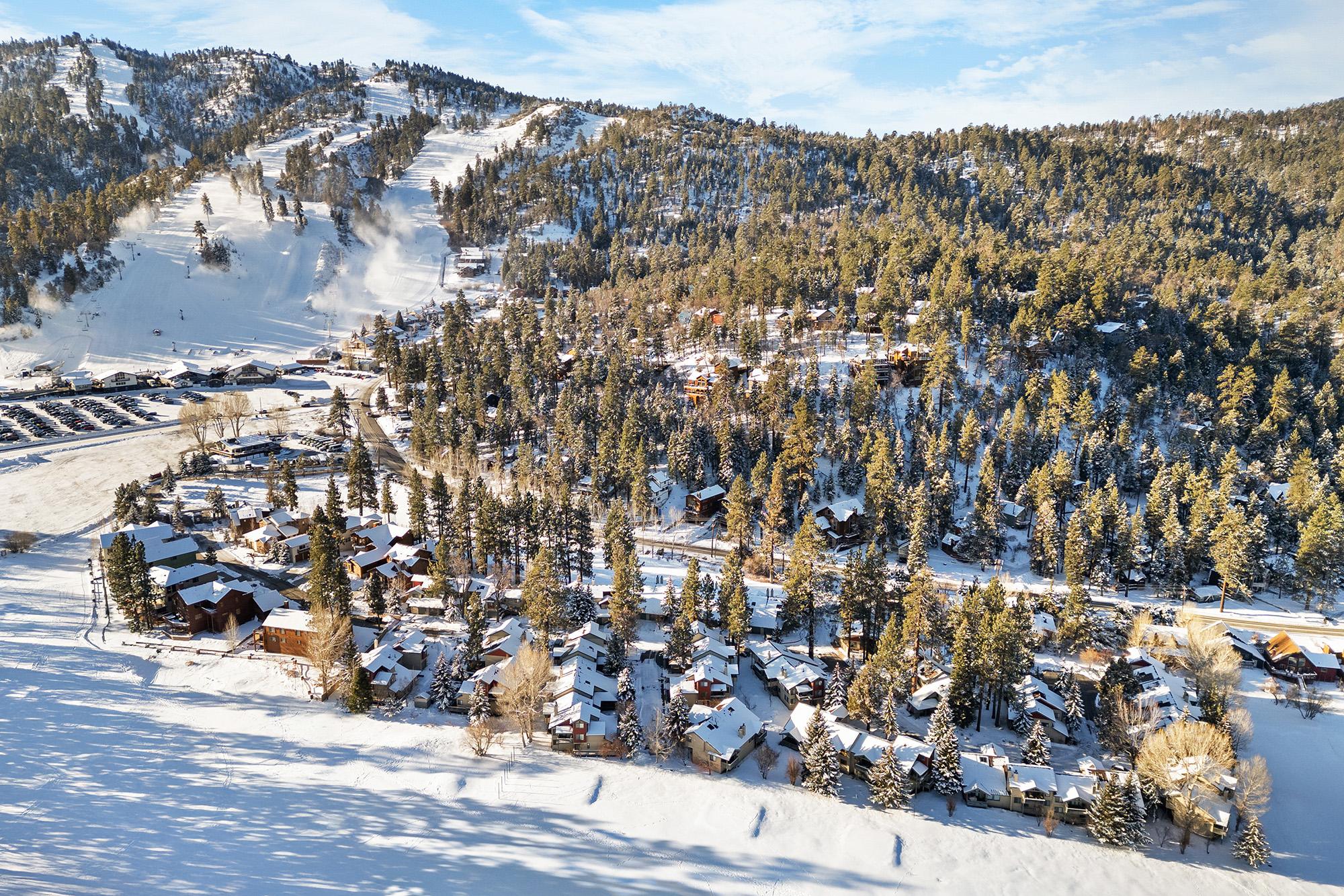 Big Bear Cabin - Bear House - 49