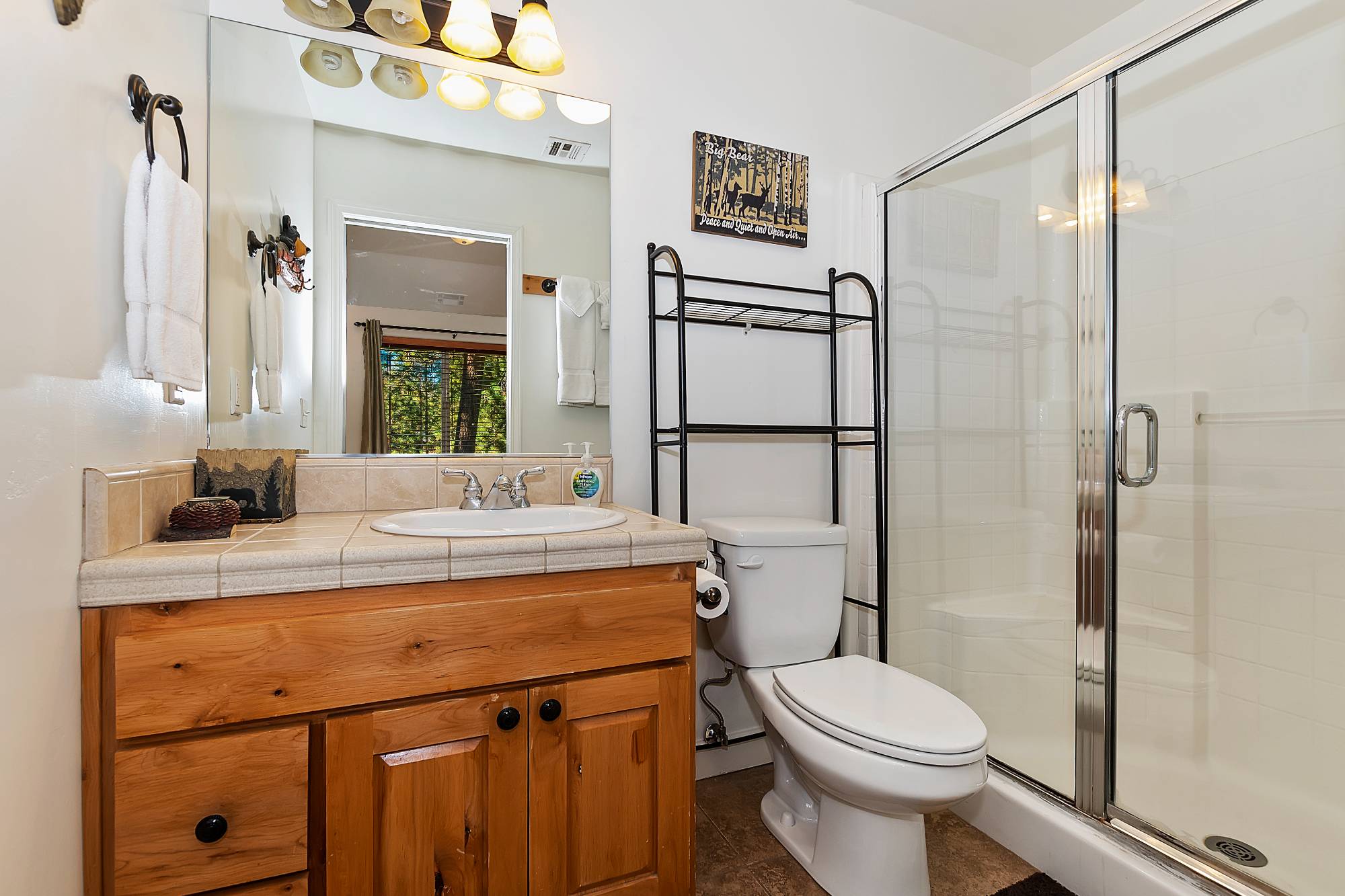 Big Bear Cabin - Bear Summit  - 25