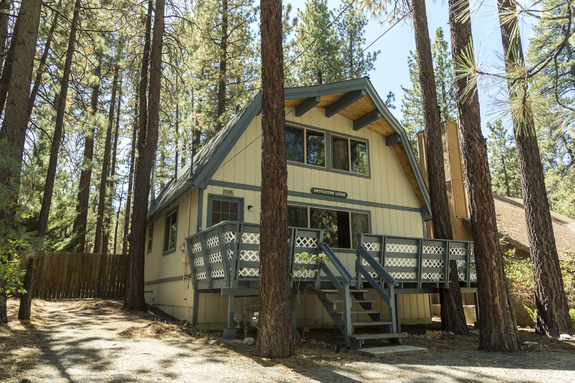 Big Bear Cabin - BristleconeLodge - 0001