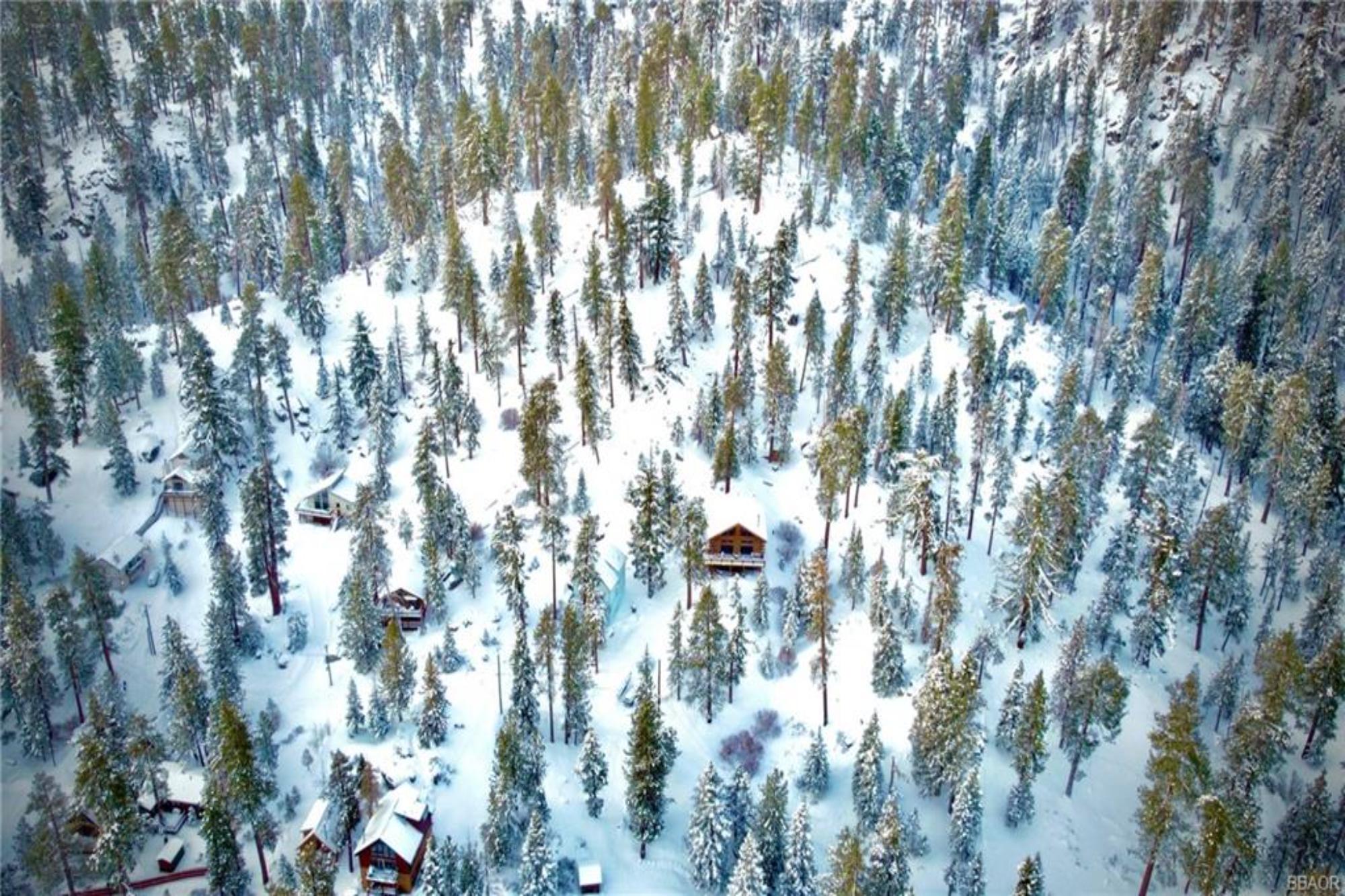 Big Bear Cabin - Grinhart Cabin - 75
