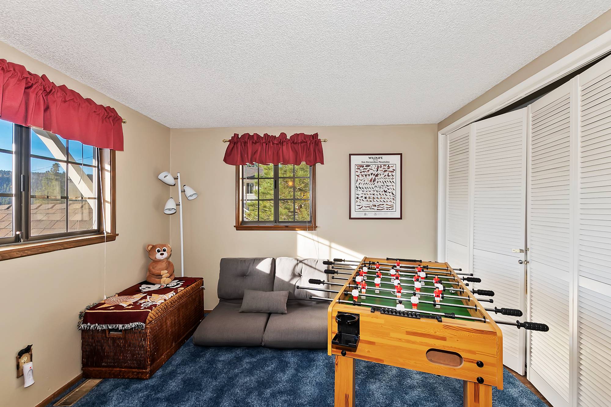 Big Bear Cabin - Lazy Lake - 15