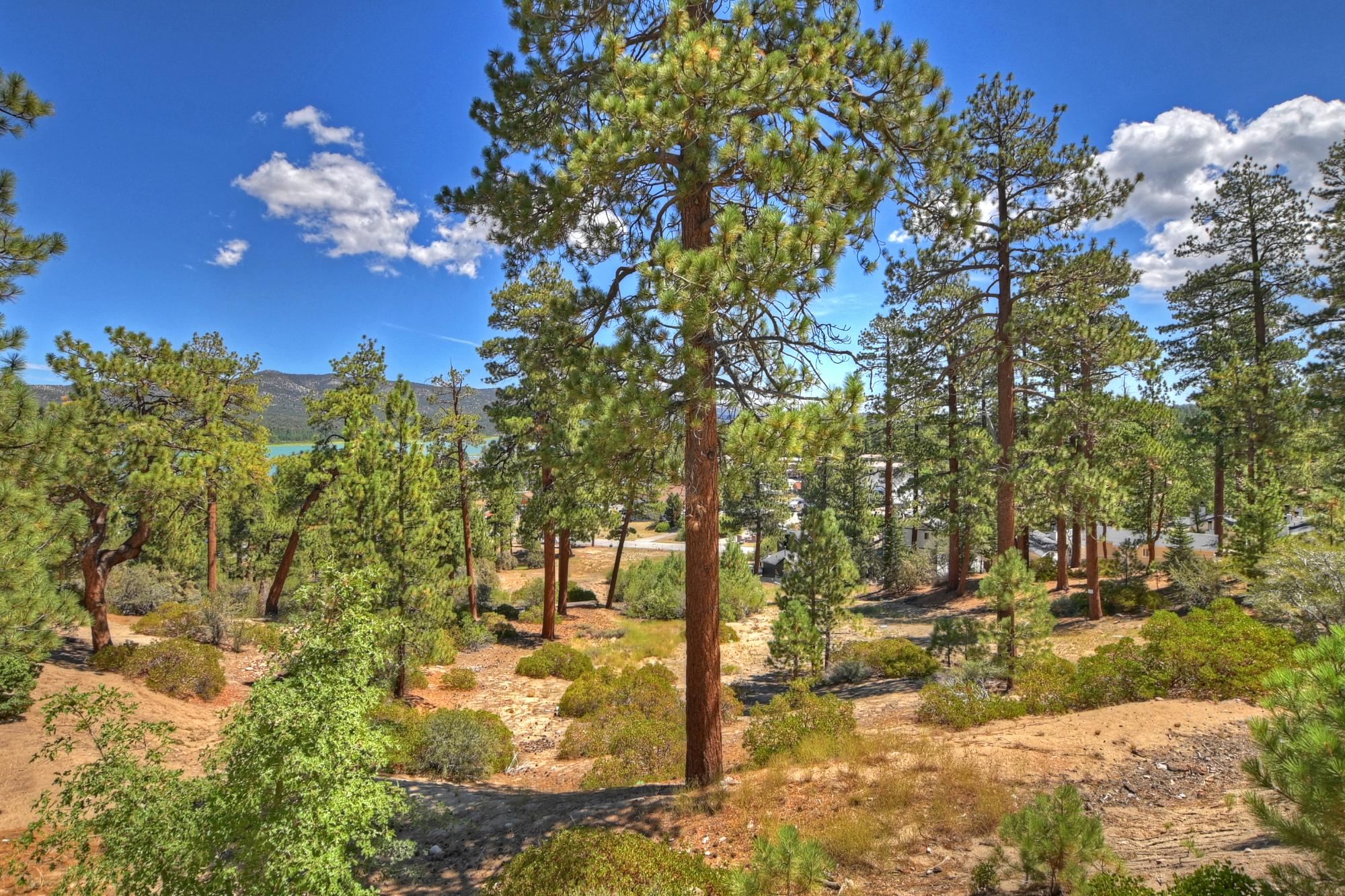 Big Bear Cabin - Mountain Masterpiece - 80
