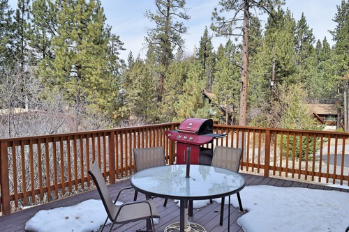 Big Bear Cabin - Owl'sPerch - 0003