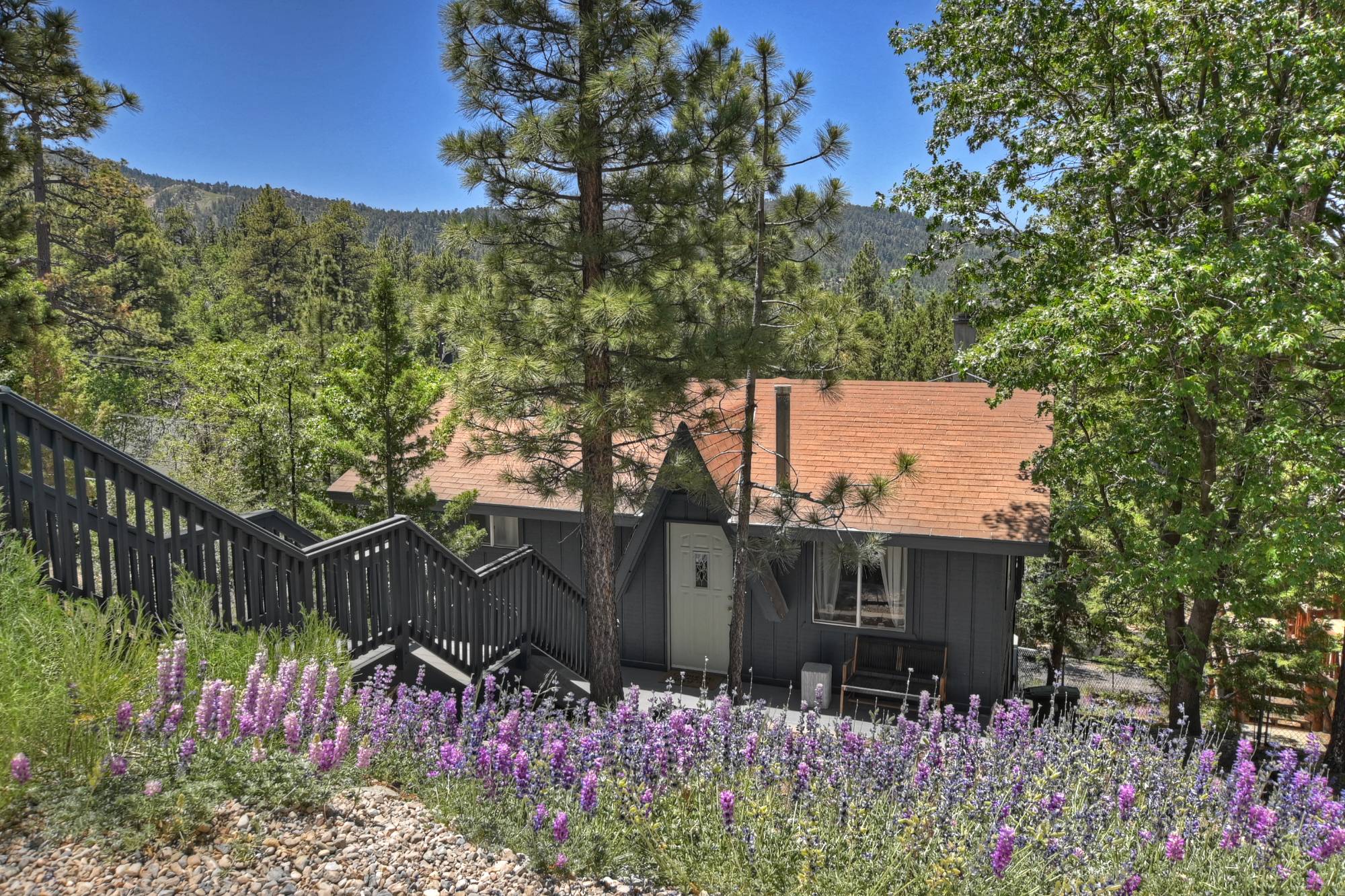 Big Bear Cabin - SerenePines - 0001