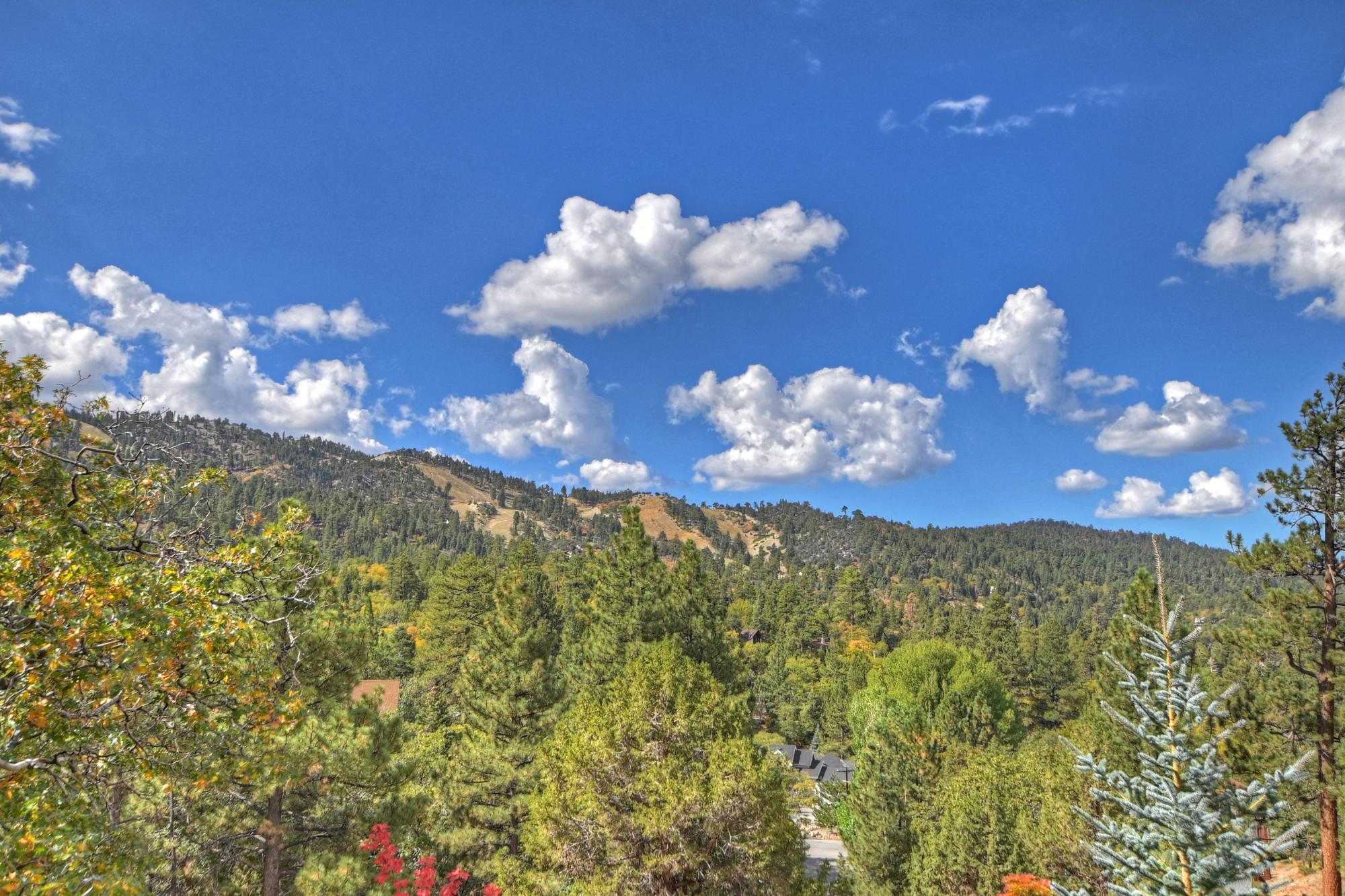 Big Bear Cabin - Ski and View Lodge - 23
