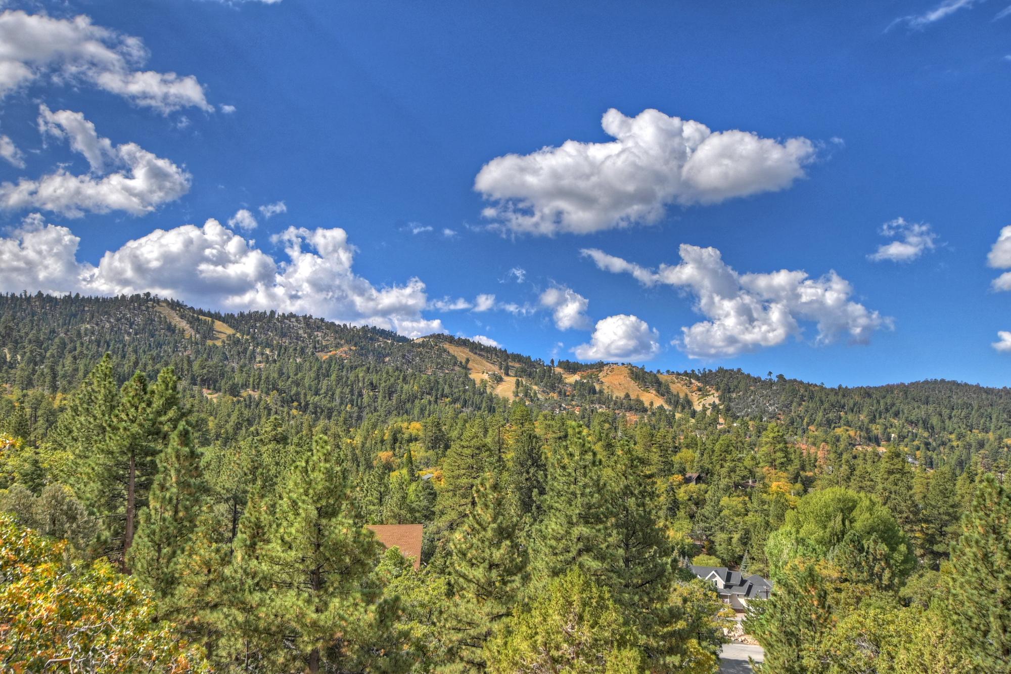 Big Bear Cabin - Ski and View Lodge - 29