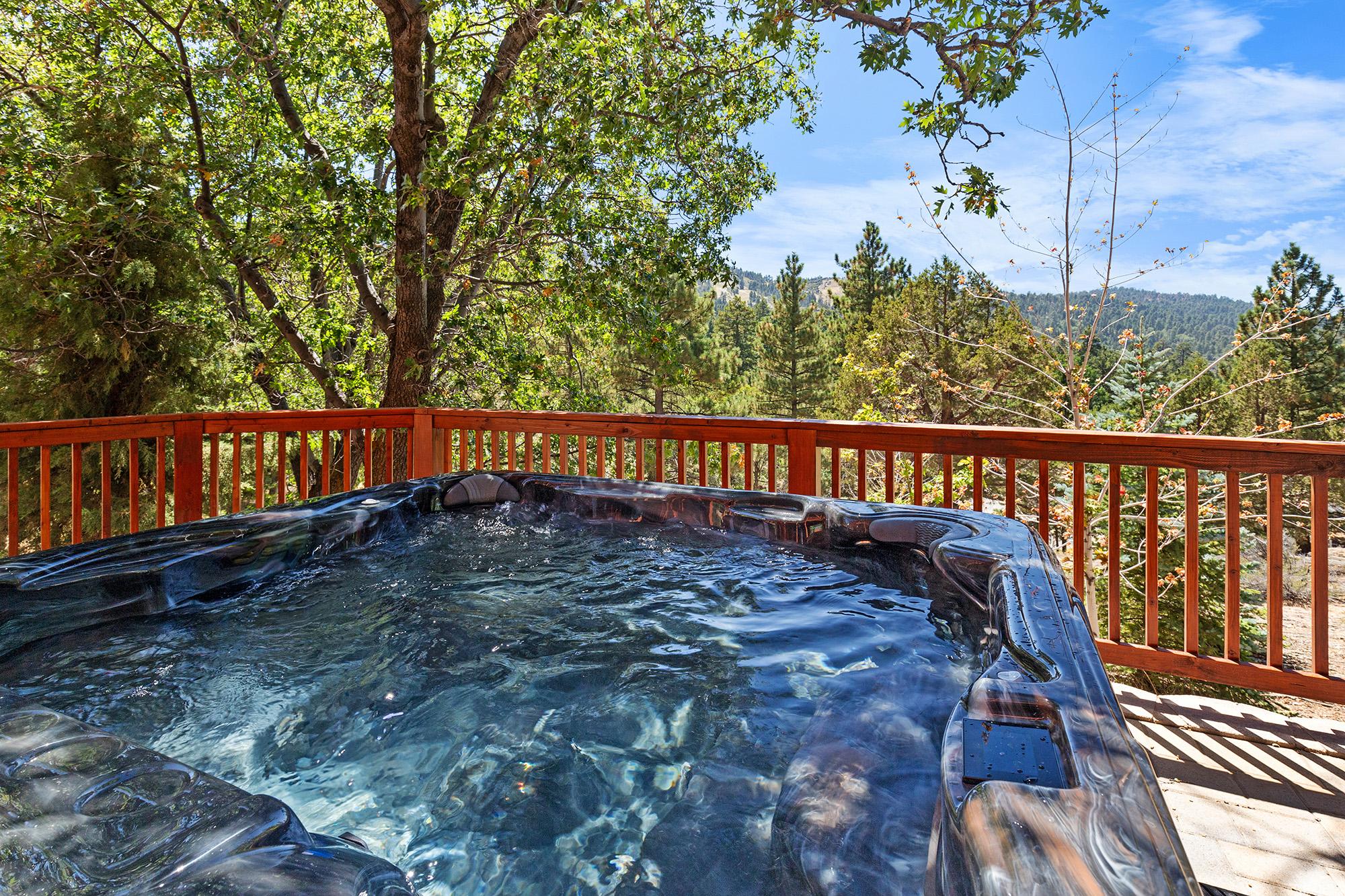 Big Bear Cabin - Ski and View Lodge - 36