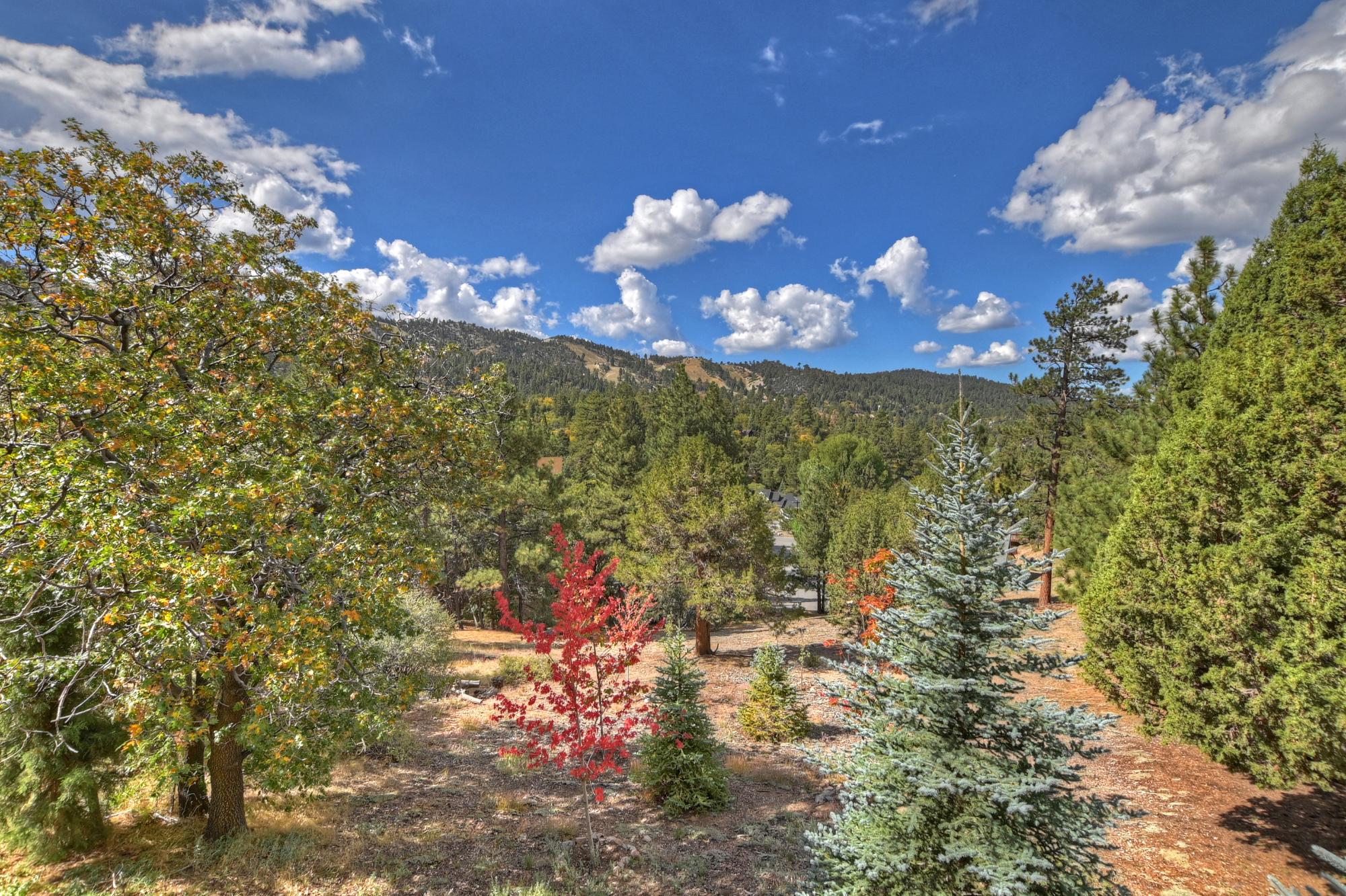 Big Bear Cabin - Ski and View Lodge - 38