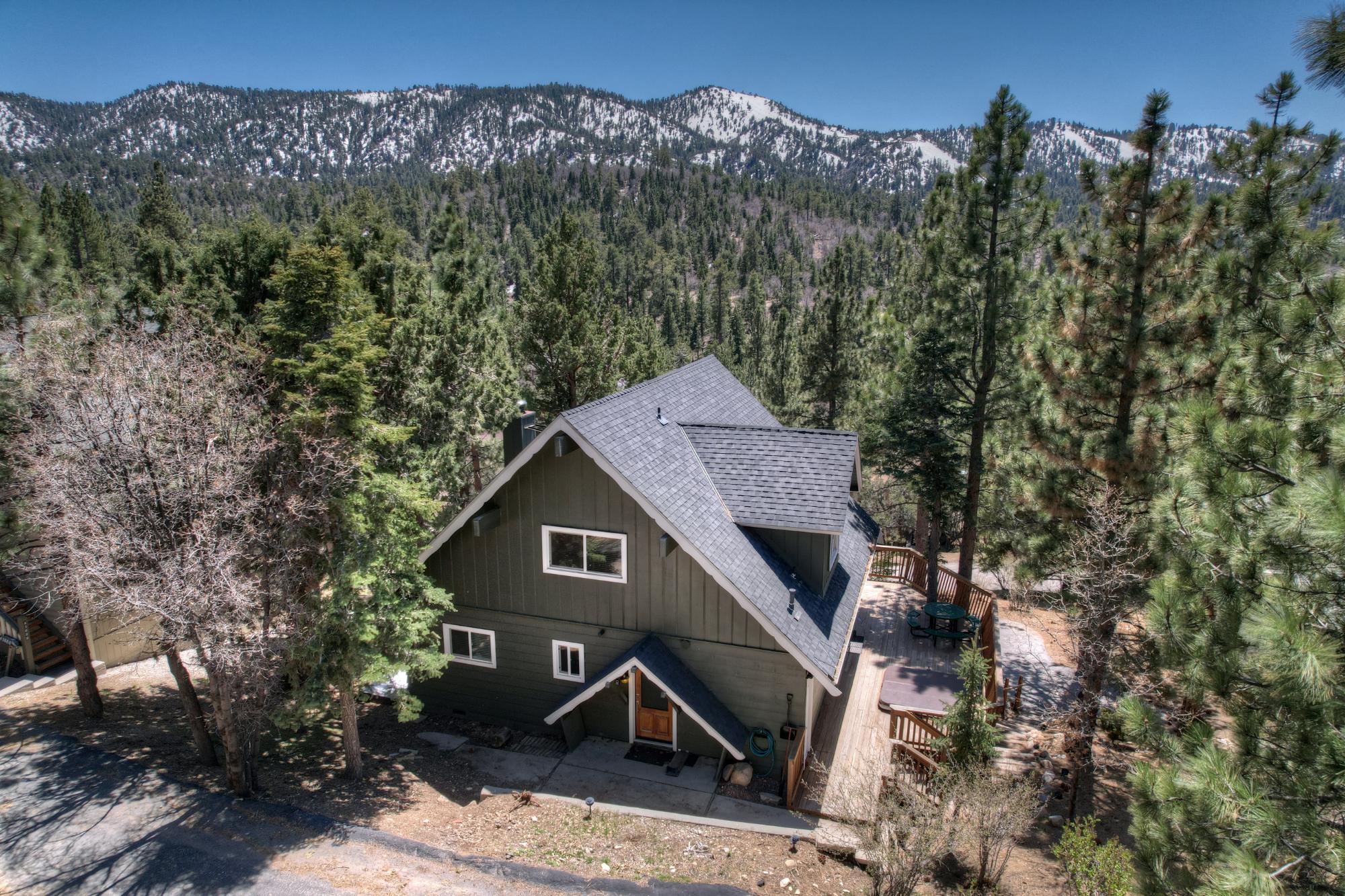 Big Bear Cabin - Skyfall - 5