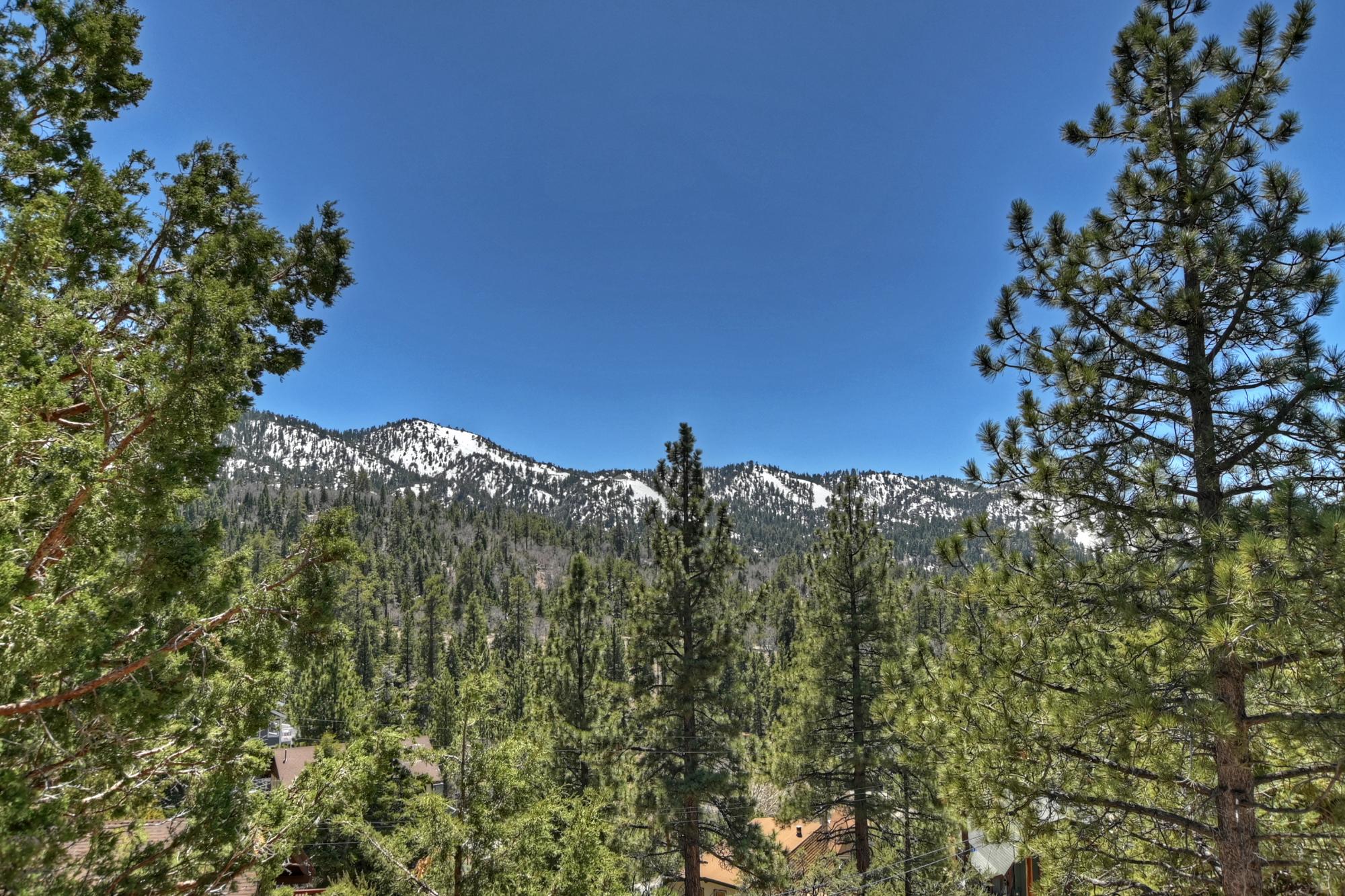 Big Bear Cabin - Skyfall - 26