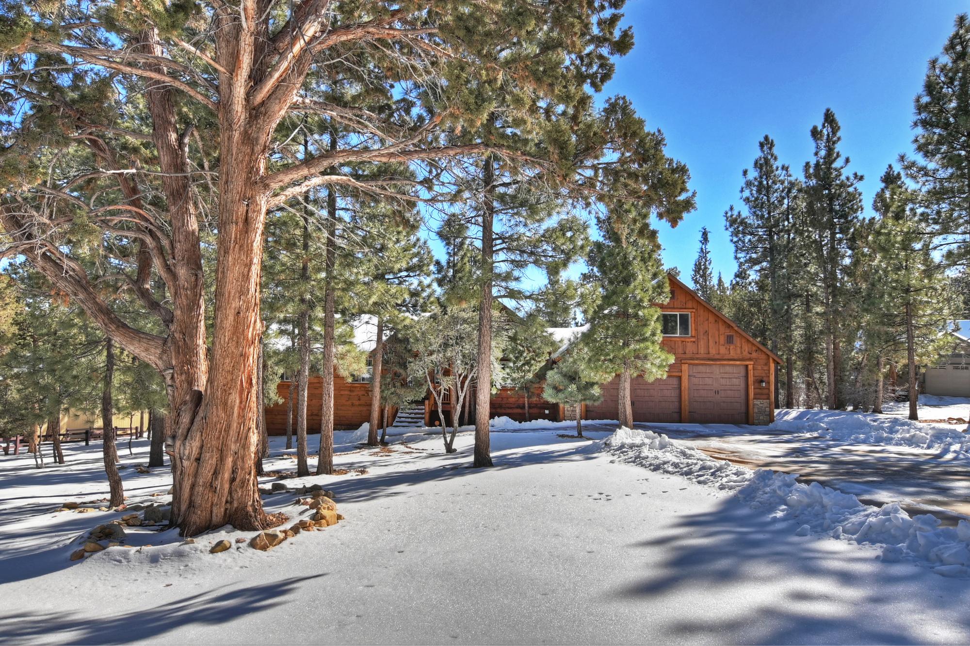 Big Bear Cabin - StardustLodge - 0001