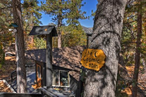 Big Bear Cabin - TheCosmicCabin - 0005