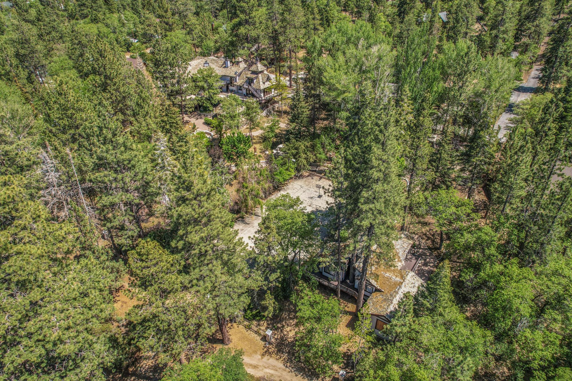 Big Bear Cabin - The Edgewood Mansion - 113