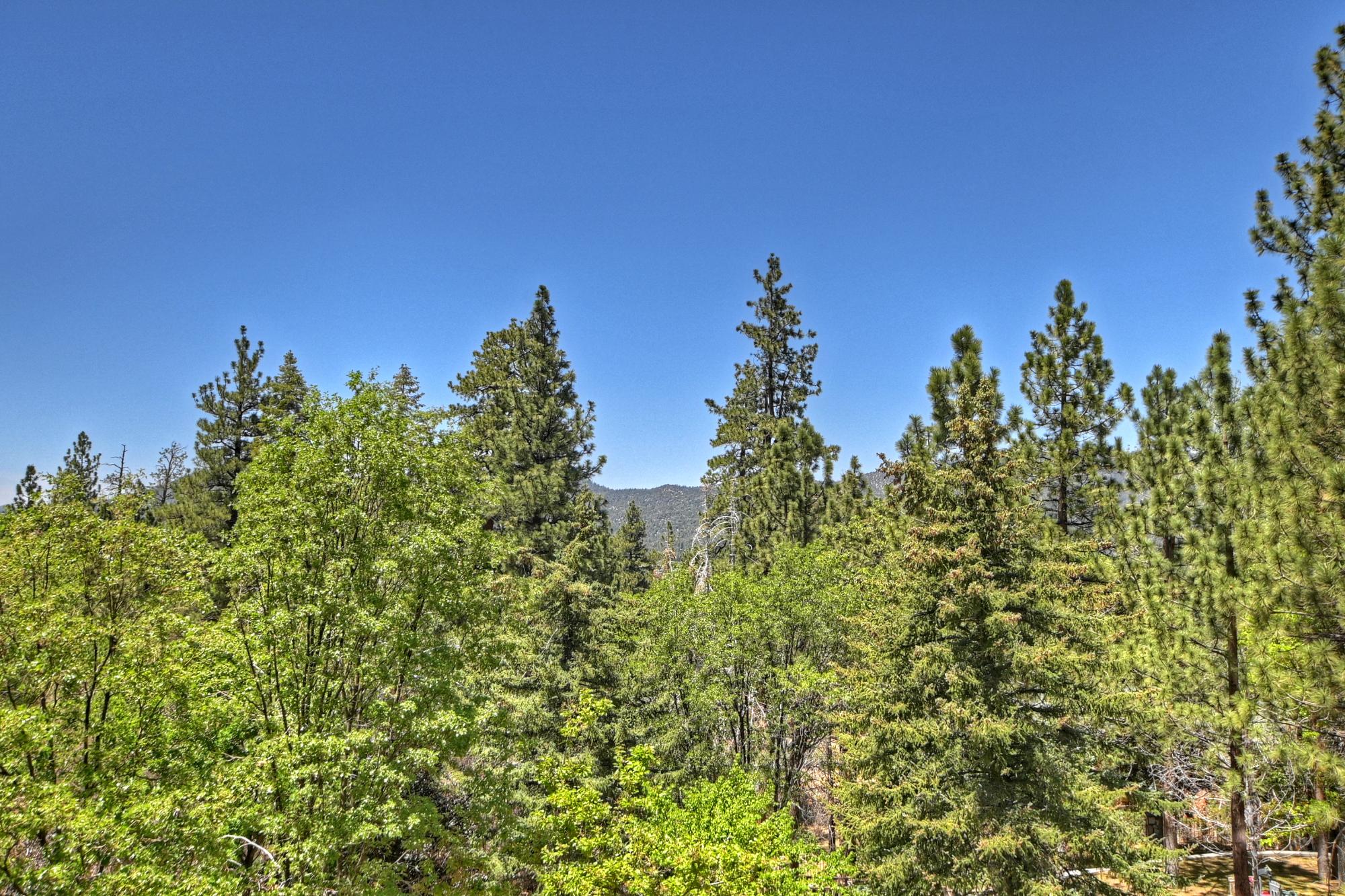 Big Bear Cabin - The Edgewood Mansion - 72