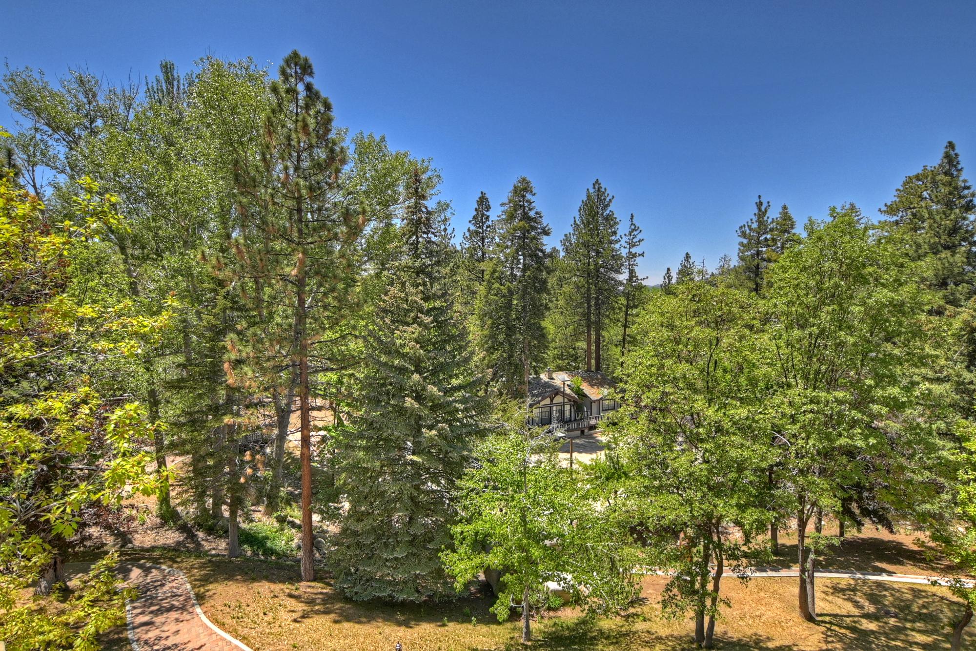 Big Bear Cabin - The Edgewood Mansion - 73