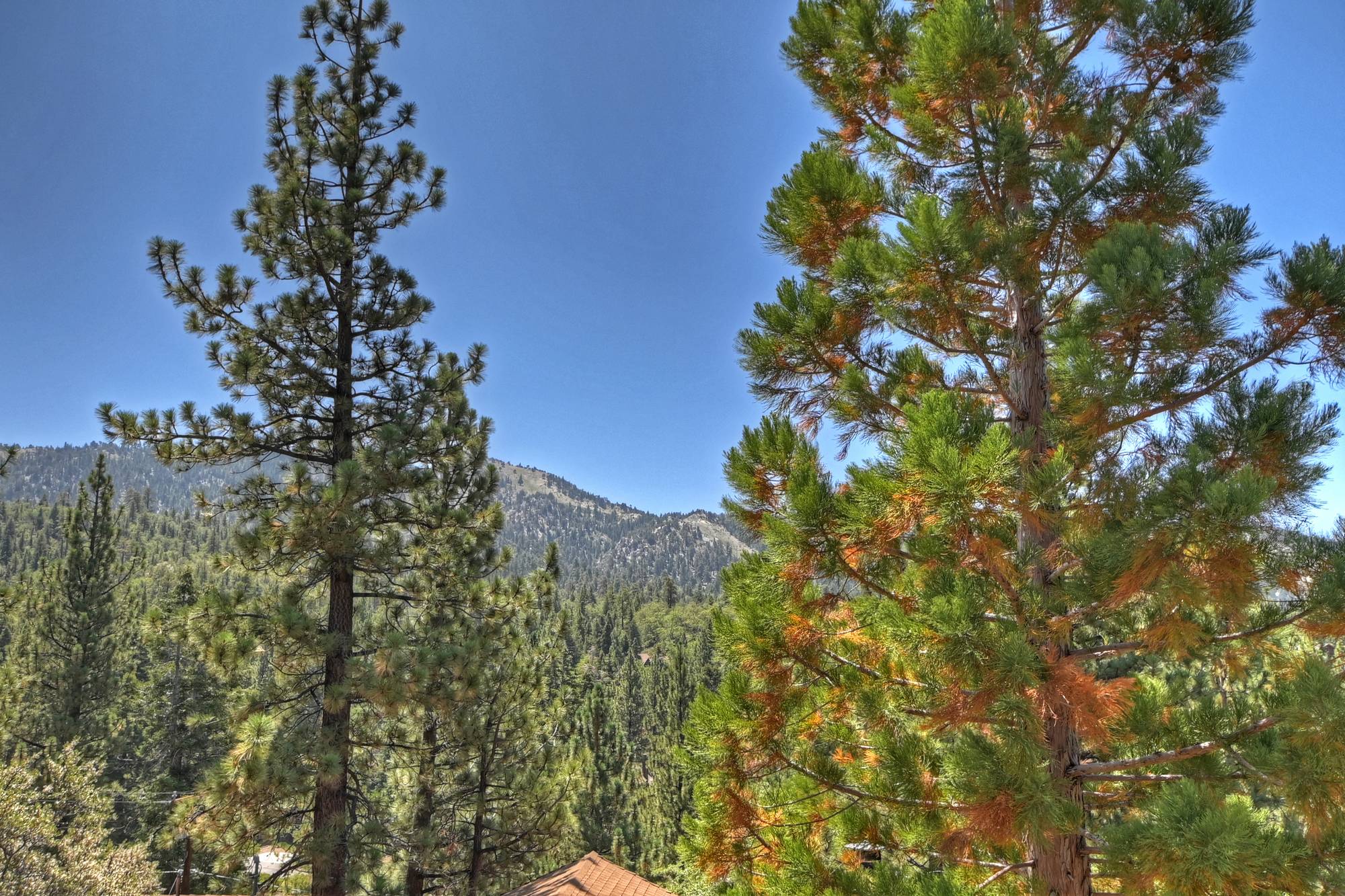 Big Bear Cabin - The Frame - 26