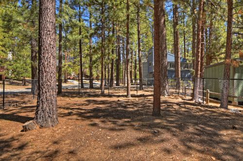 Big Bear Cabin - WhisperingCottage - 0003