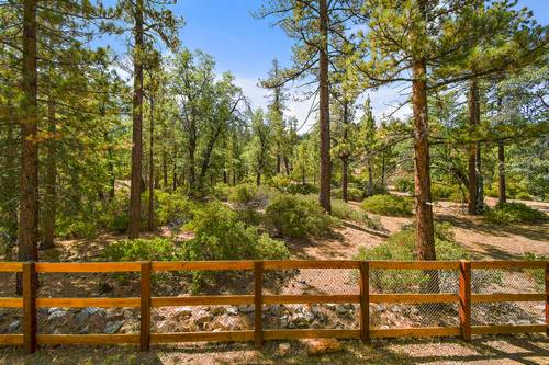 Big Bear Cabin - WillowWonderland - 0005